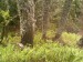 Foto114.jpg